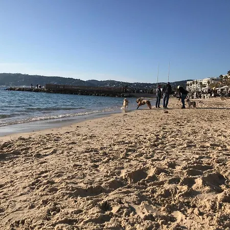Apartment A059-new With South Facing - Terrace-near The Antibes
